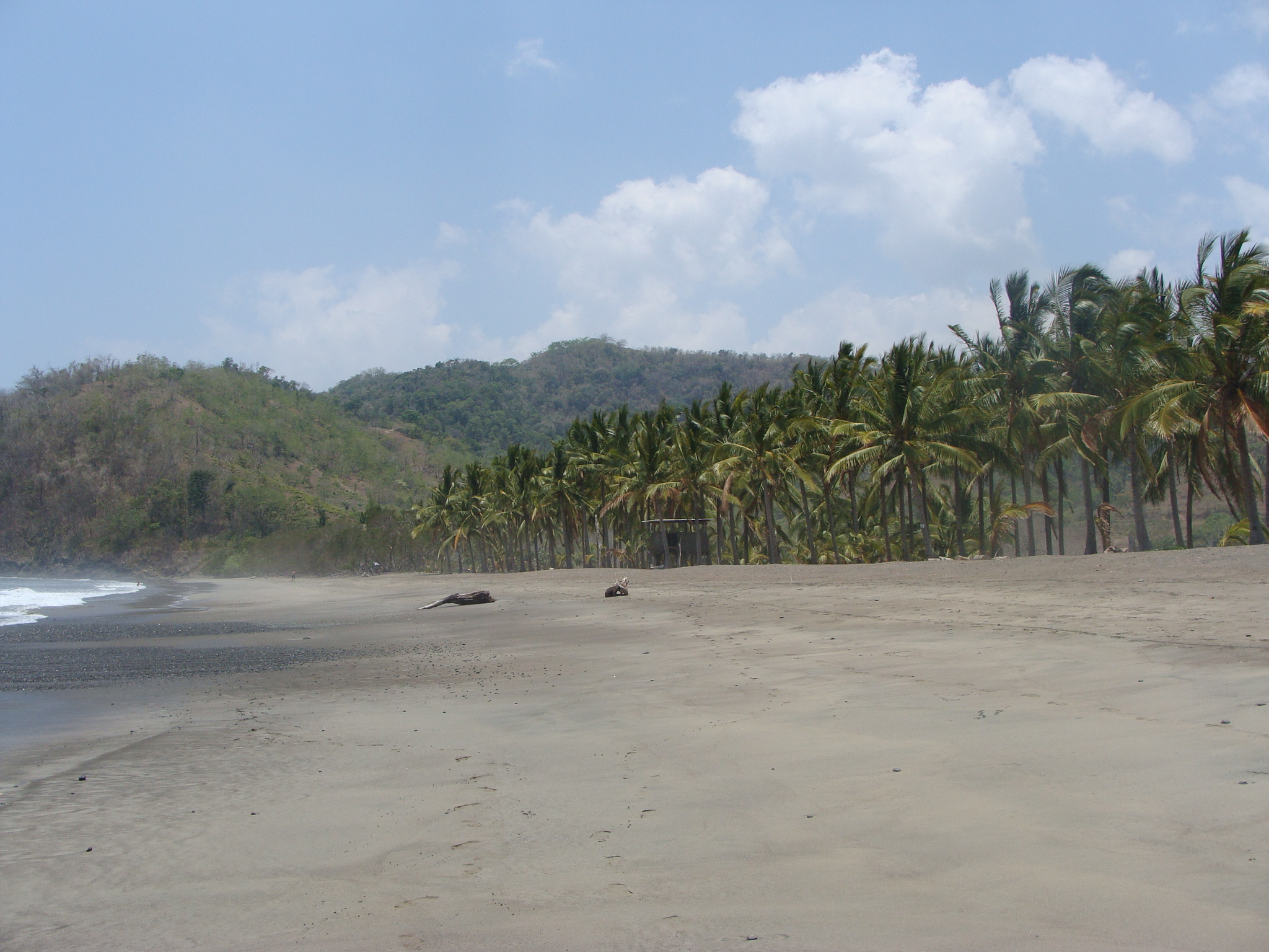 Corozalito: una incipiente playa de anidación de arribadas en Costa Rica