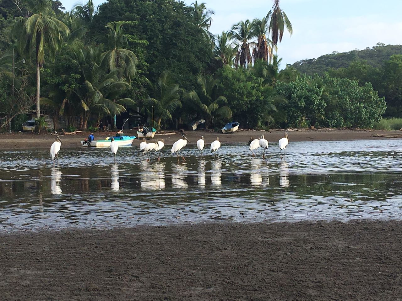 Inició oficialmente temporada 2019, en los cuatro proyectos de CREMA
