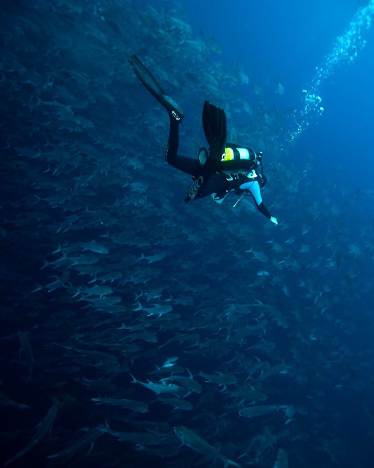 CREMA te invita a Taller «Ciencia Ciudadana en el Buceo»
