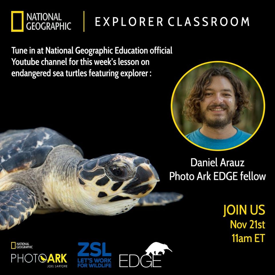 Únase a la sesión de mañana en el Canal de Youtube de NATGEO