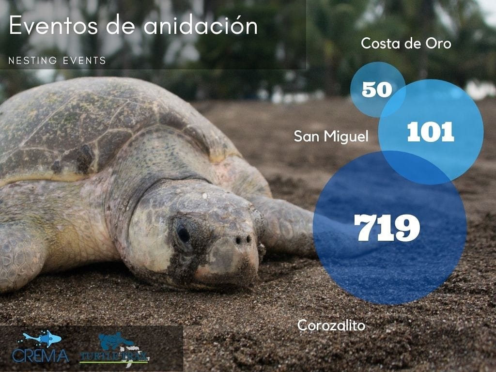 proyectos lora
