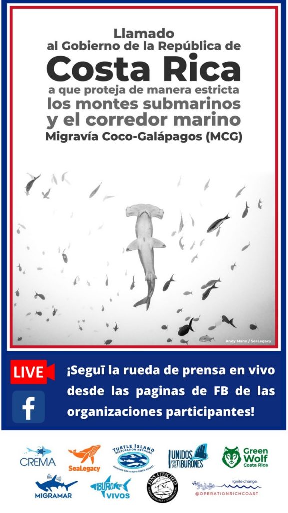 Coalición aboga por la protección estricta del Corredor Biológico Marino “Migravía Coco-Galapagos”