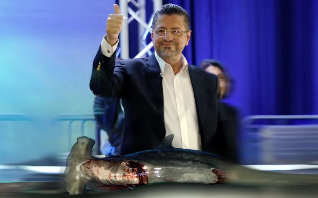 Presidente Chávez debe responder por Tiburones en 8 días