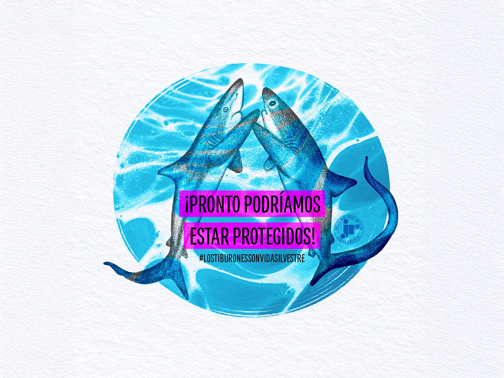 Protección Tiburón Sedoso