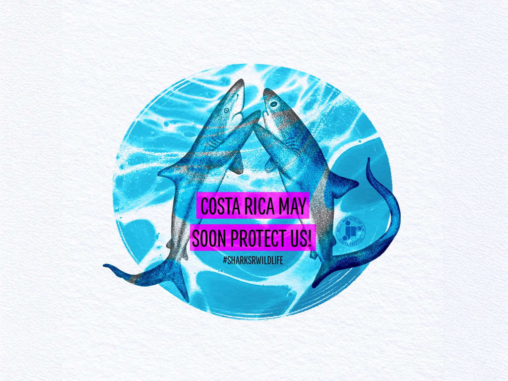 Silky and Trasher Protection