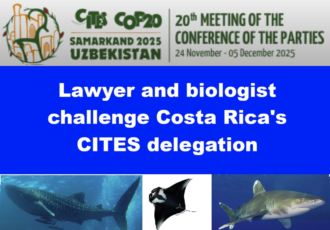 Lawyer and Biologist Challenge the Composition of the Costa Rican Delegation to CITES