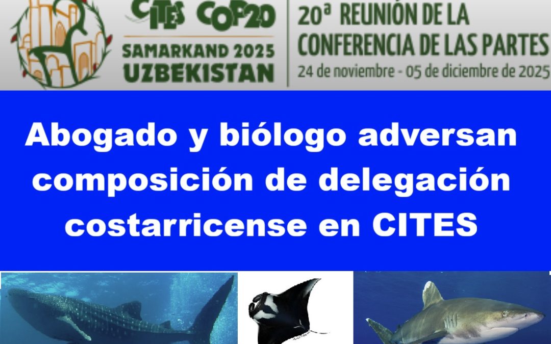 Abogado y Biólogo adversan composición de la delegación costarricense en CITES