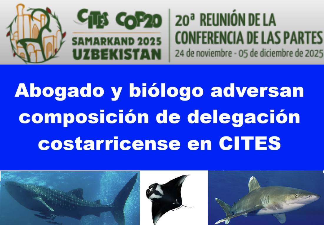 Abogado y Biólogo adversan composición de la delegación costarricense en CITES