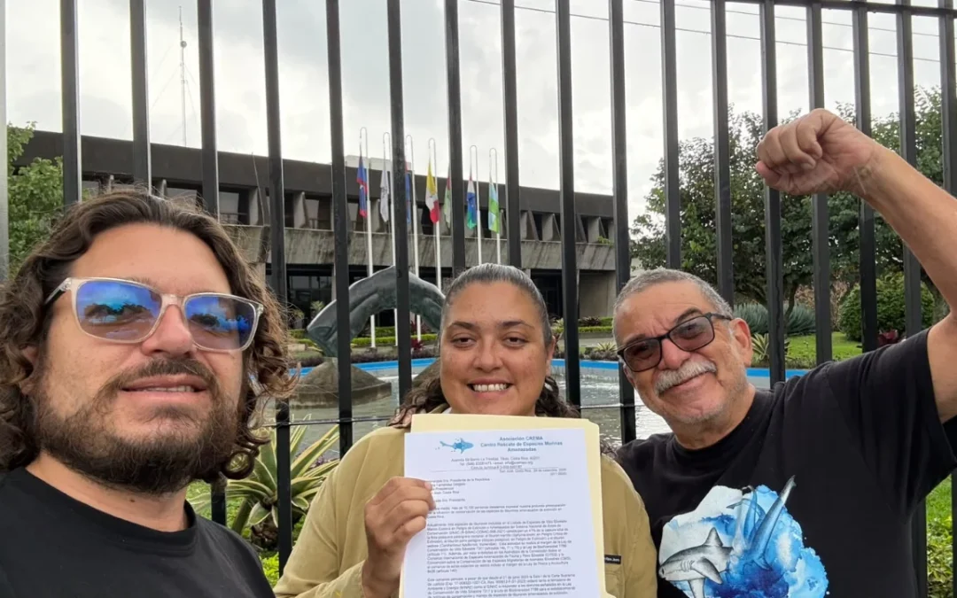 Más de 10,100 personas piden a la presidenta Laura Fernández Delgado que proteja a los tiburones